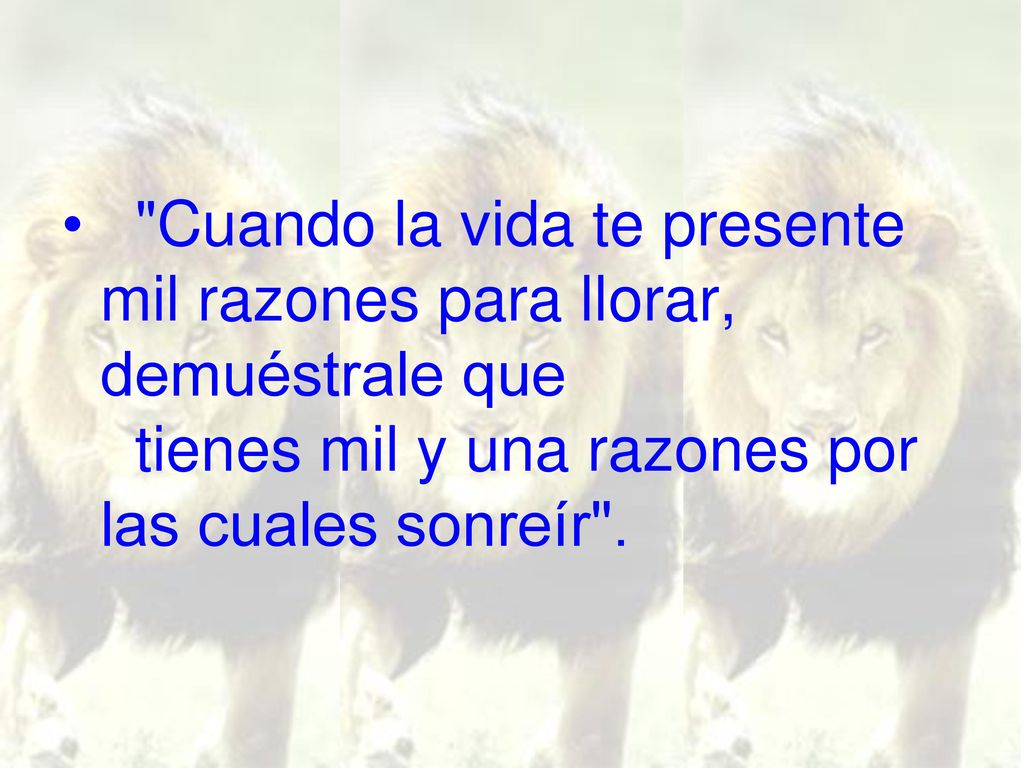 Cuando la vida te presente mil razones para llorar, demuéstrale que tienes mil y una razones por las cuales sonreír .