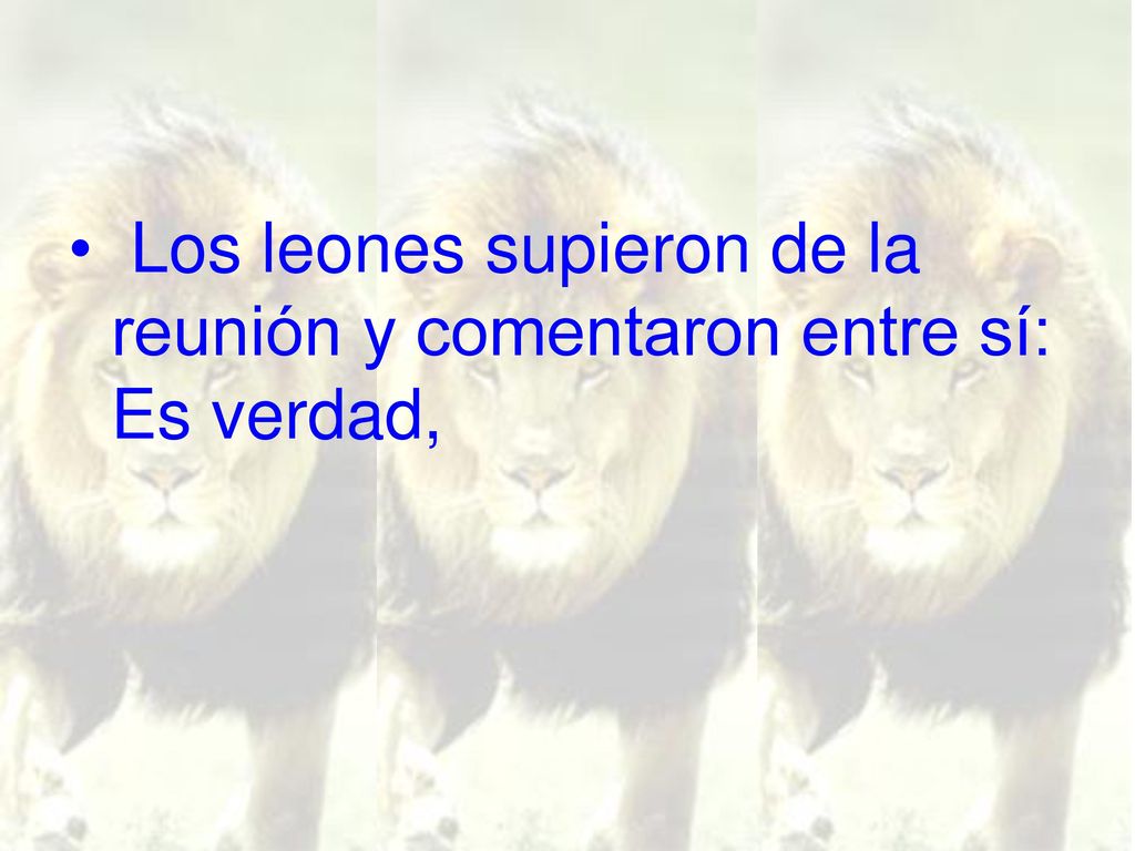 Los leones supieron de la reunión y comentaron entre sí: Es verdad,