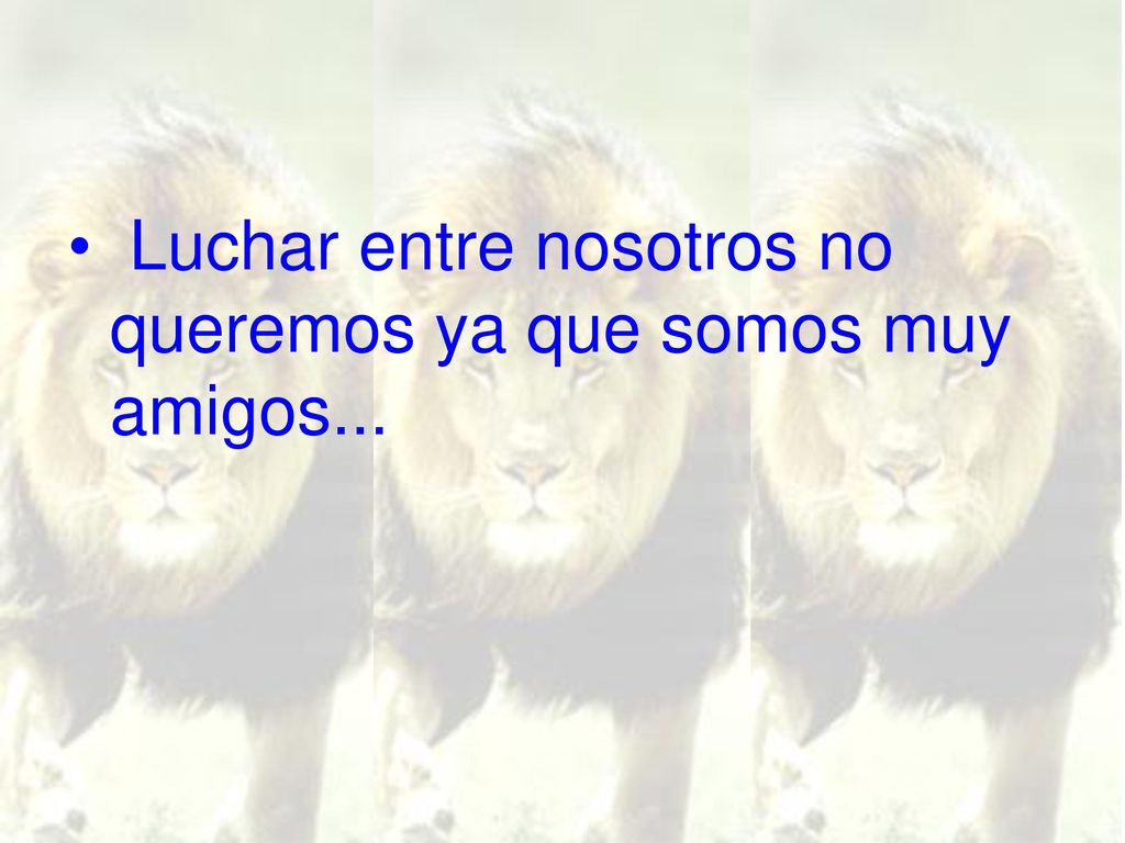 Luchar entre nosotros no queremos ya que somos muy amigos...