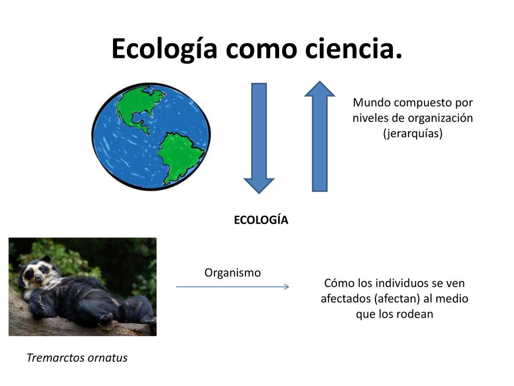 Ecología como ciencia. Mundo compuesto por niveles de organización (jerarquías) ECOLOGÍA. Organismo.