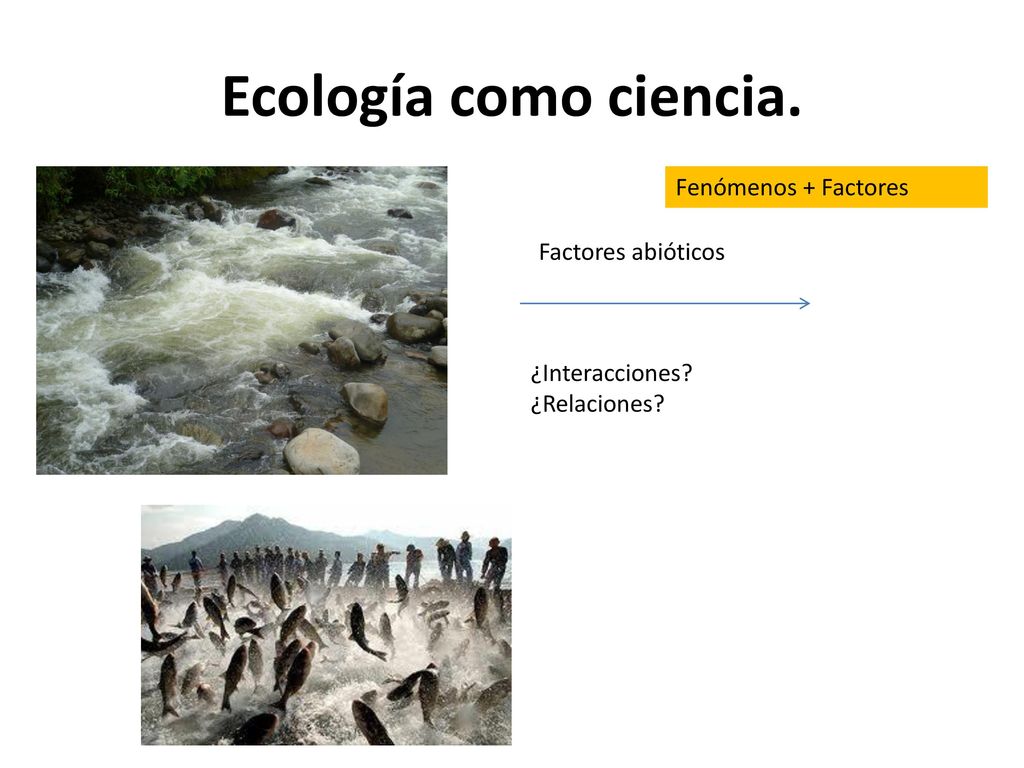 Ecología como ciencia. Fenómenos + Factores Factores abióticos