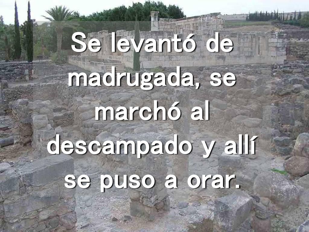 Se levantó de madrugada, se marchó al descampado y allí se puso a orar.