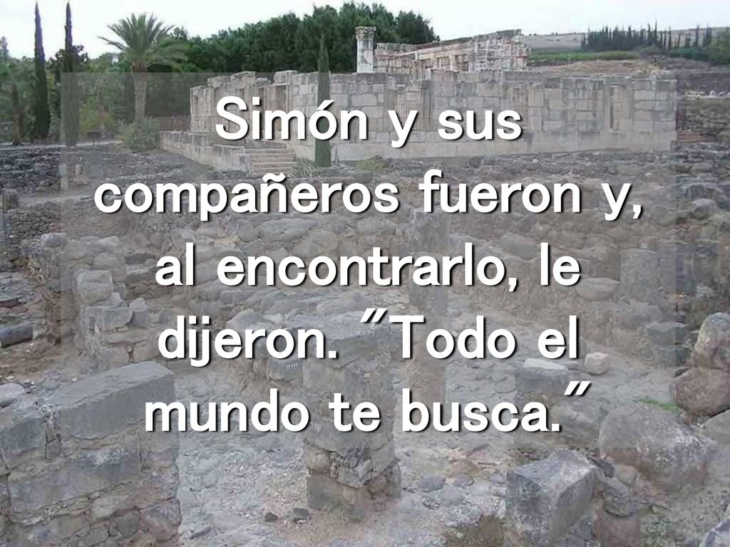 Simón y sus compañeros fueron y, al encontrarlo, le dijeron