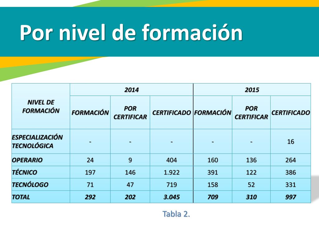 Por nivel de formación Tabla 2. NIVEL DE FORMACIÓN FORMACIÓN