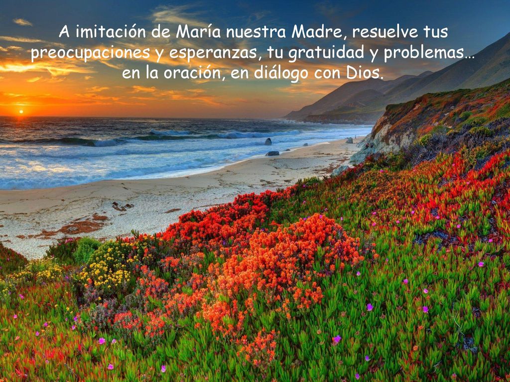 A imitación de María nuestra Madre, resuelve tus preocupaciones y esperanzas, tu gratuidad y problemas… en la oración, en diálogo con Dios.