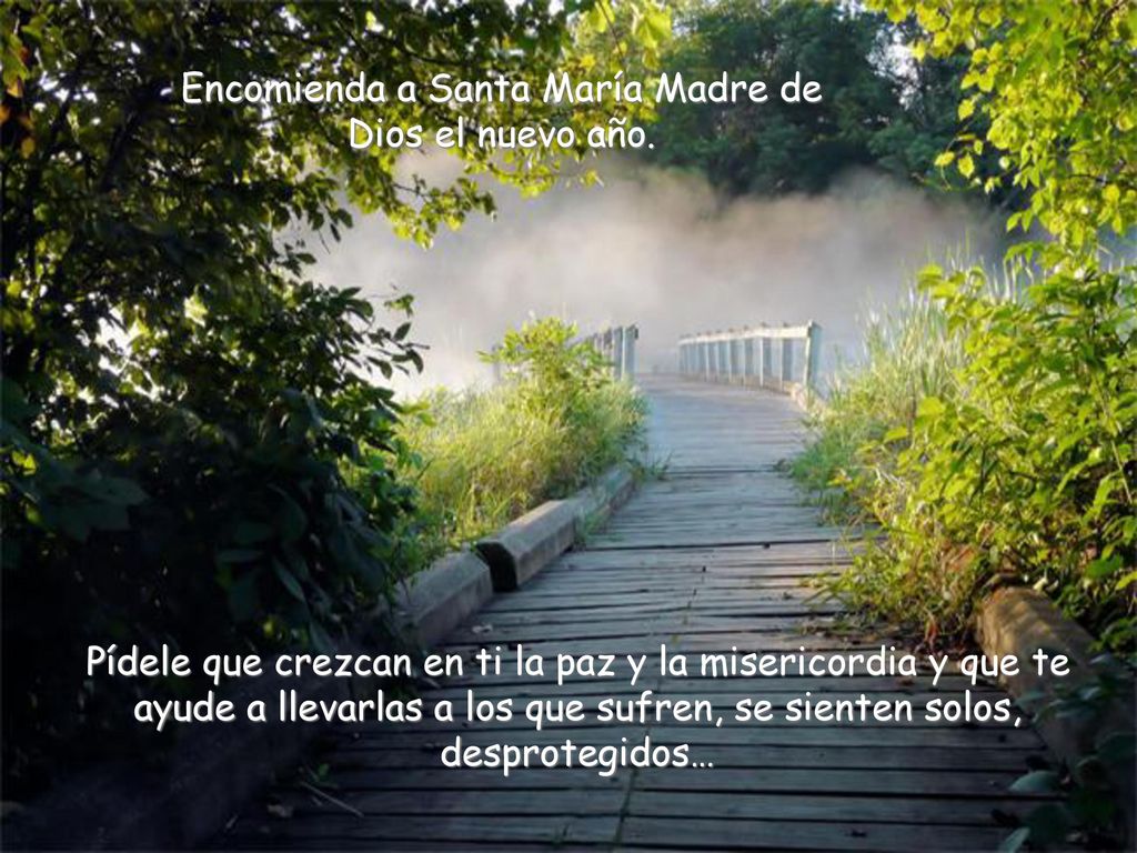 Encomienda a Santa María Madre de Dios el nuevo año.