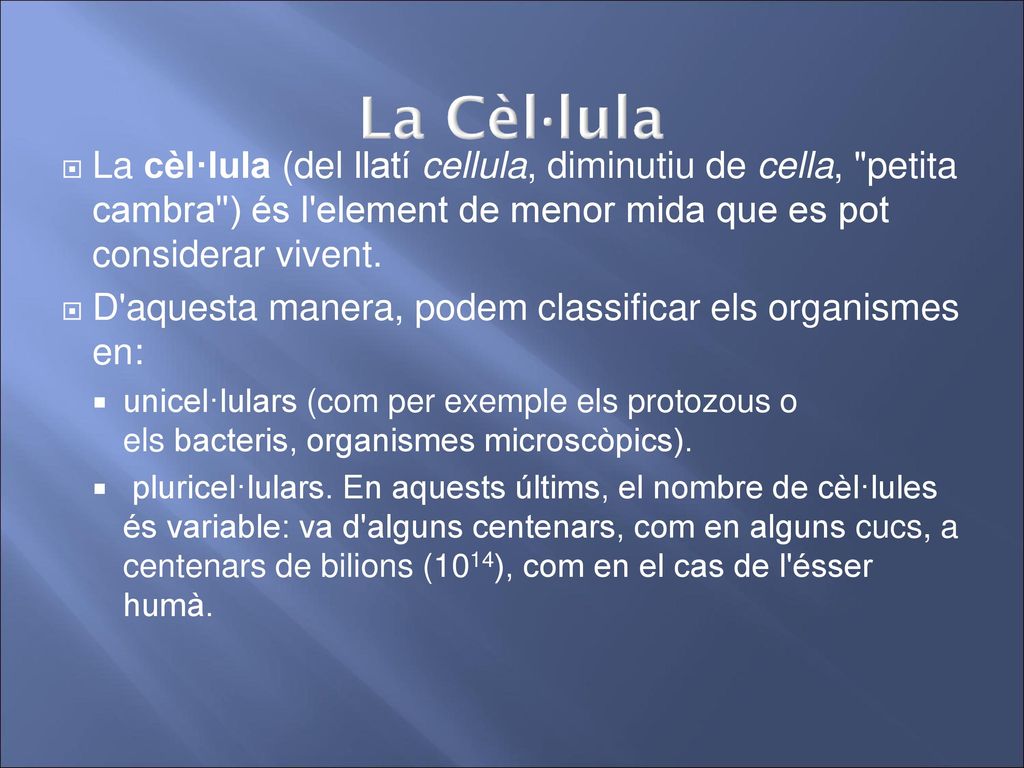 La Cèl·lula La cèl·lula (del llatí cellula, diminutiu de cella, petita cambra ) és l element de menor mida que es pot considerar vivent.