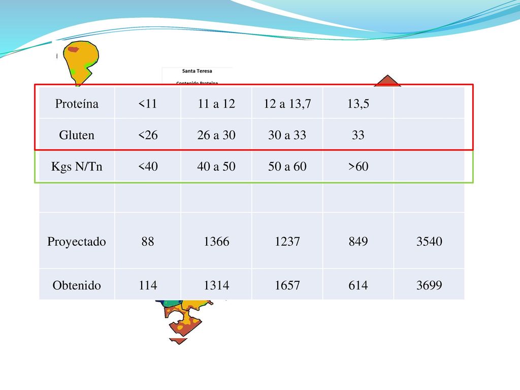 Proteína < a a 13,7. 13,5. Gluten. < a a Kgs N/Tn. <40.