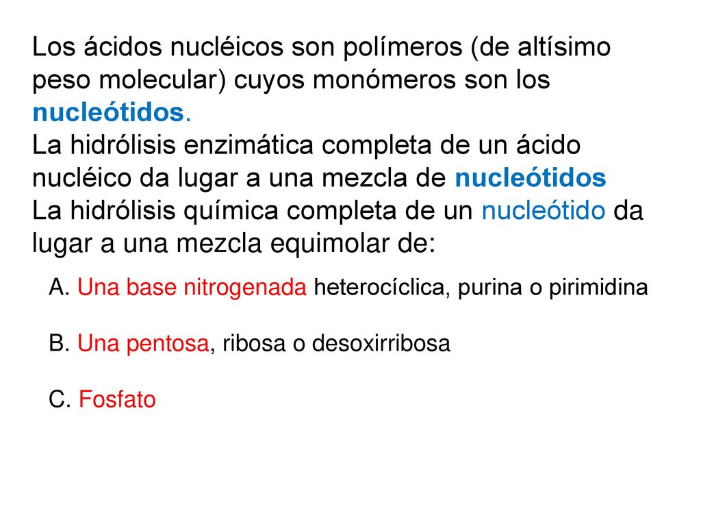 Los ácidos nucléicos son polímeros (de altísimo peso molecular) cuyos monómeros son los nucleótidos.