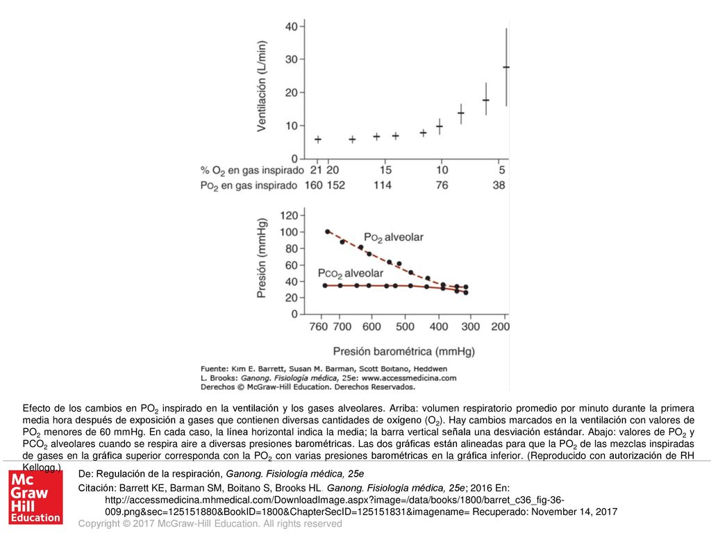 Efecto de los cambios en PO2 inspirado en la ventilación y los gases alveolares. Arriba: volumen respiratorio promedio por minuto durante la primera media hora después de exposición a gases que contienen diversas cantidades de oxígeno (O2). Hay cambios marcados en la ventilación con valores de PO2 menores de 60 mmHg. En cada caso, la línea horizontal indica la media; la barra vertical señala una desviación estándar. Abajo: valores de PO2 y PCO2 alveolares cuando se respira aire a diversas presiones barométricas. Las dos gráficas están alineadas para que la PO2 de las mezclas inspiradas de gases en la gráfica superior corresponda con la PO2 con varias presiones barométricas en la gráfica inferior. (Reproducido con autorización de RH Kellogg.)