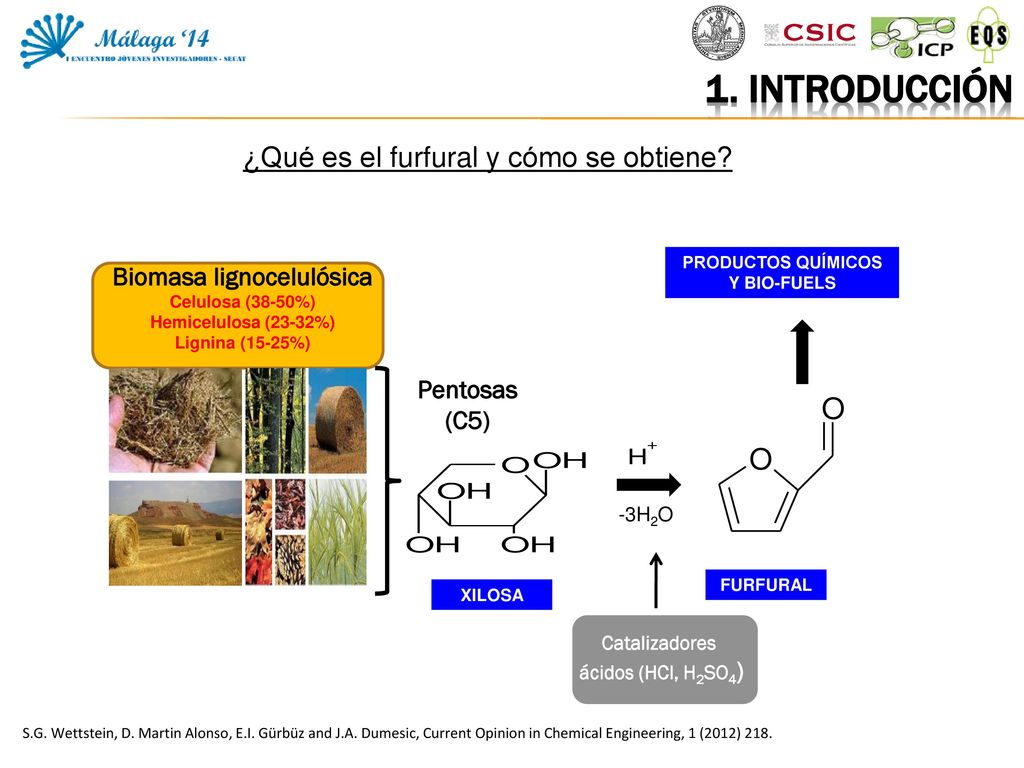 PRODUCTOS QUÍMICOS Y BIO-FUELS Biomasa lignocelulósica