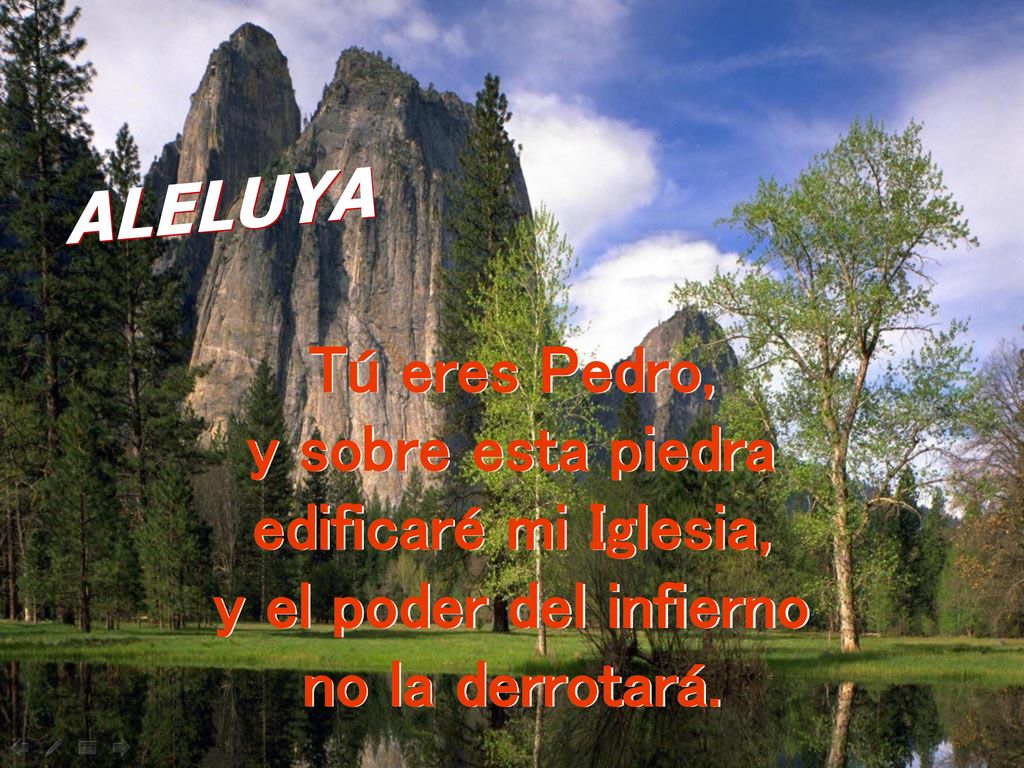 ALELUYA Tú eres Pedro, y sobre esta piedra edificaré mi Iglesia,