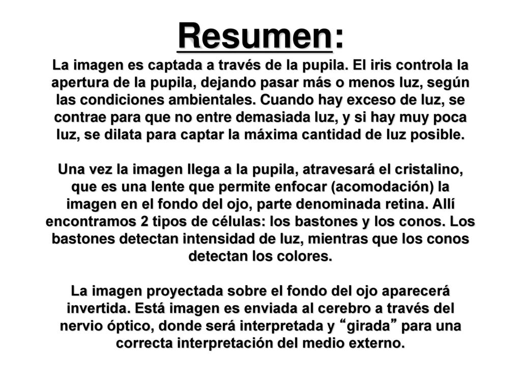 Resumen: La imagen es captada a través de la pupila