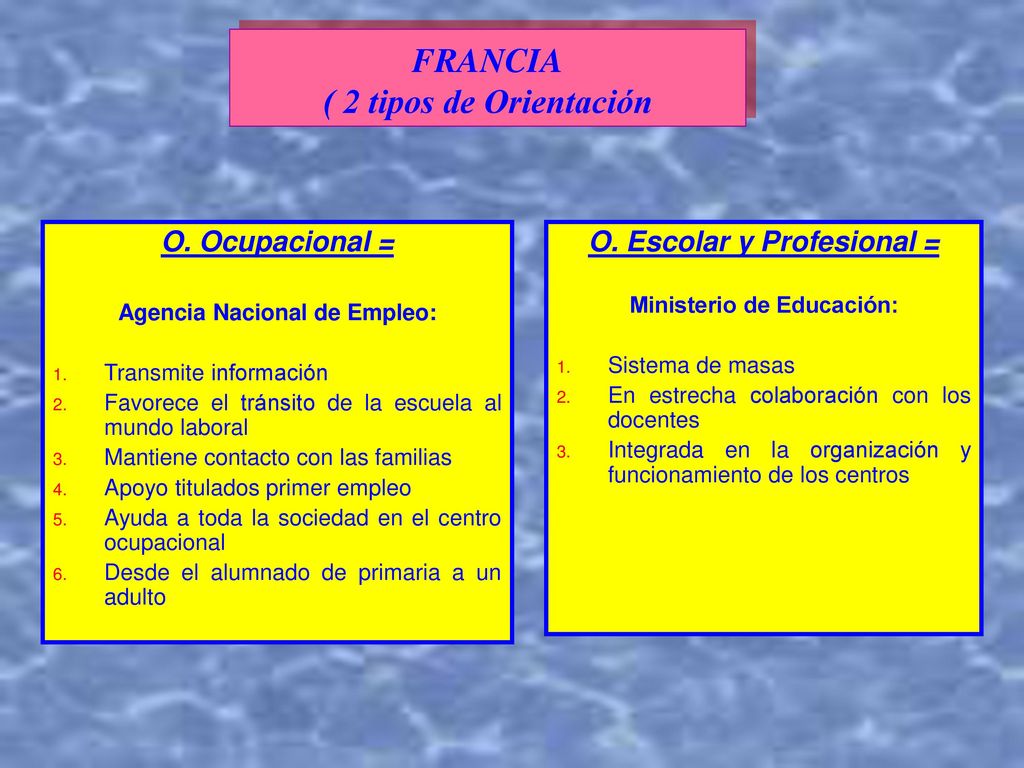 FRANCIA ( 2 tipos de Orientación