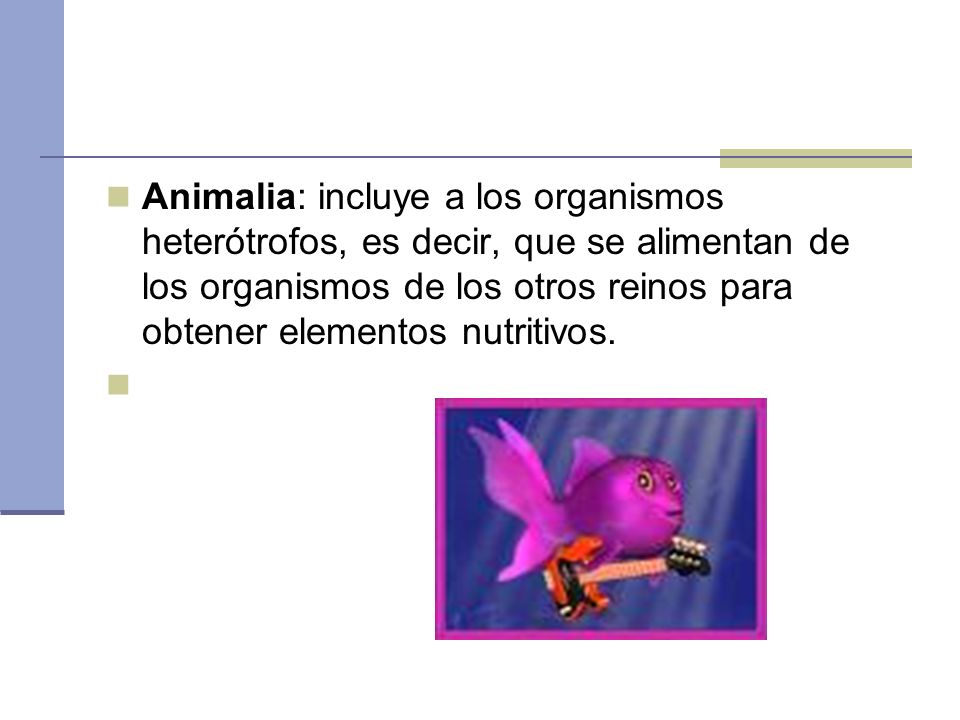 Animalia: incluye a los organismos heterótrofos, es decir, que se alimentan de los organismos de los otros reinos para obtener elementos nutritivos.