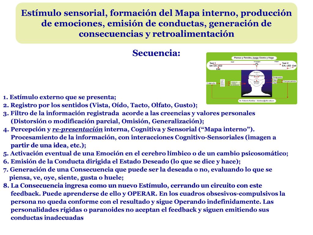 Estímulo sensorial, formación del Mapa interno, producción de emociones, emisión de conductas, generación de consecuencias y retroalimentación