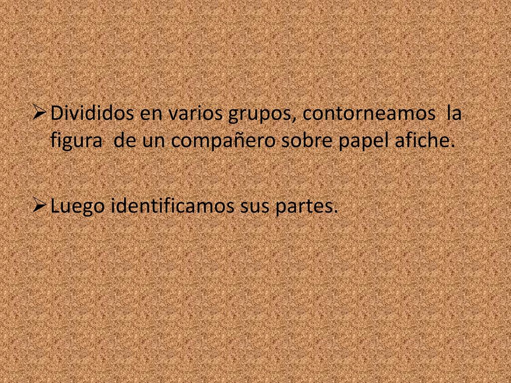 Divididos en varios grupos, contorneamos la figura de un compañero sobre papel afiche.