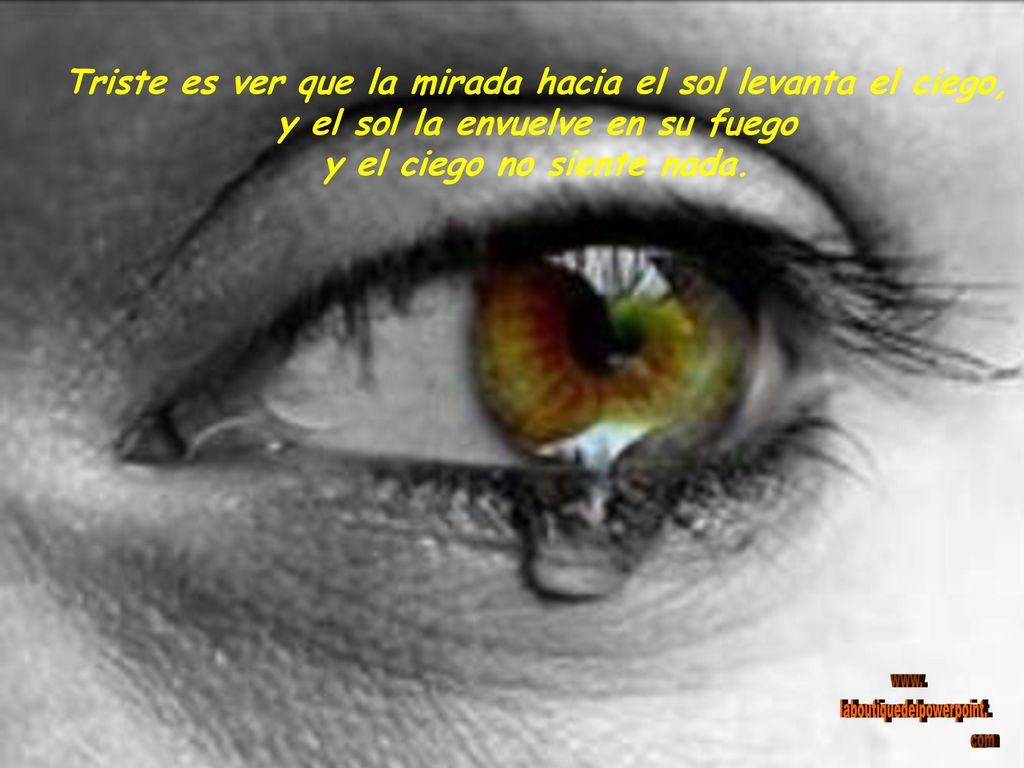 Triste es ver que la mirada hacia el sol levanta el ciego,