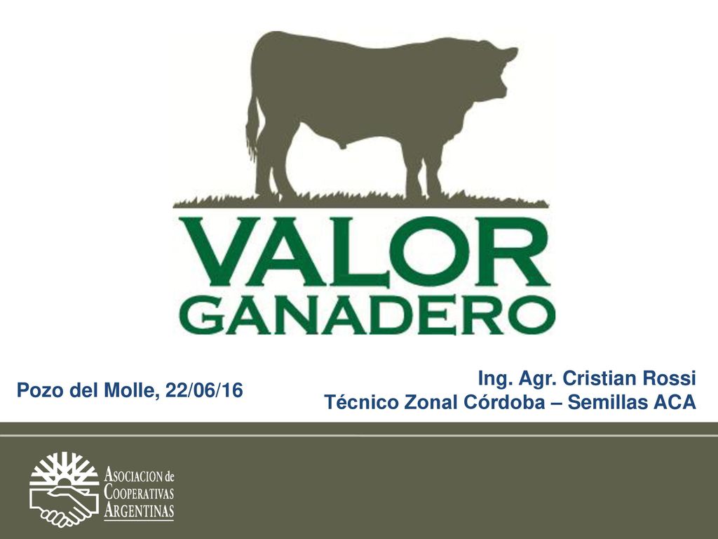Pozo del Molle, 22/06/16 Ing. Agr. Cristian Rossi Técnico Zonal Córdoba – Semillas ACA