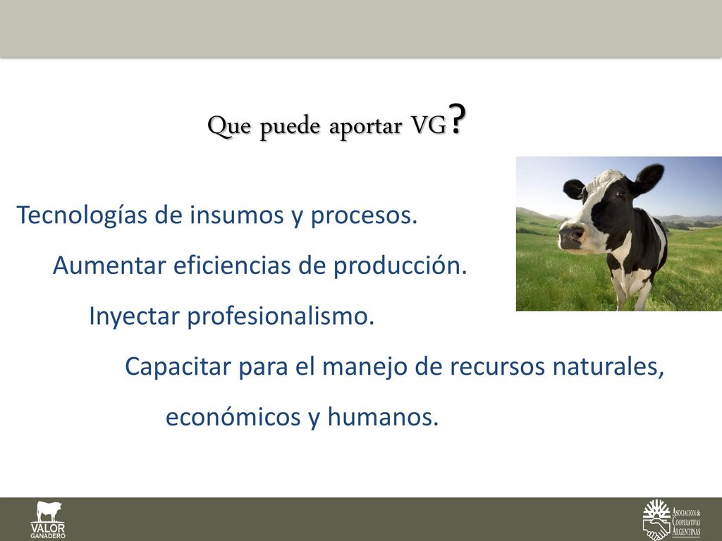 Que puede aportar VG Tecnologías de insumos y procesos.