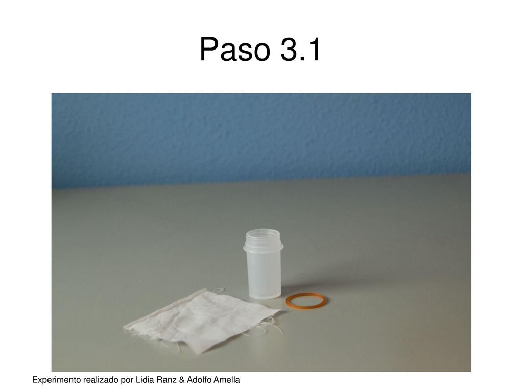 Paso 3.1 Experimento realizado por Lidia Ranz & Adolfo Amella