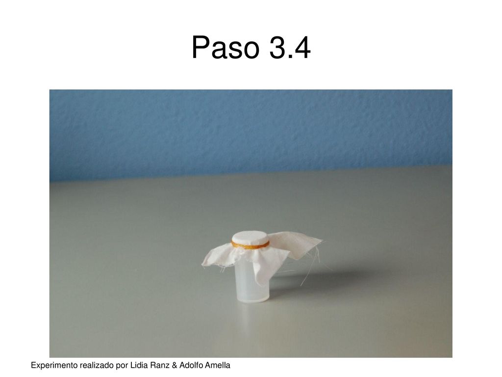 Paso 3.4 Experimento realizado por Lidia Ranz & Adolfo Amella