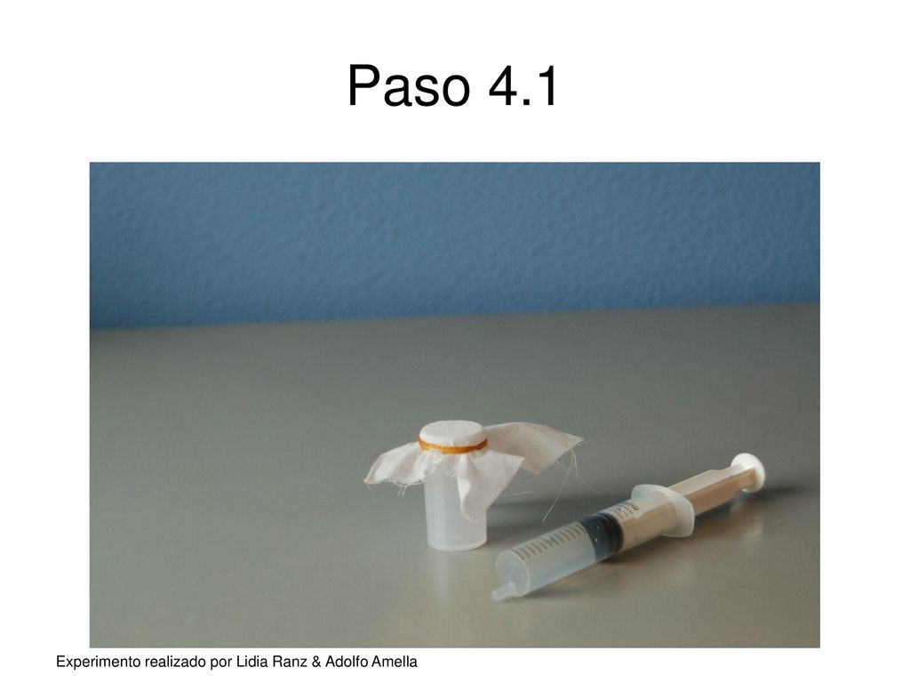 Paso 4.1 Experimento realizado por Lidia Ranz & Adolfo Amella