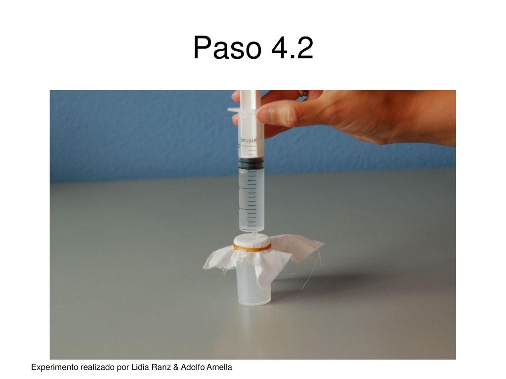 Paso 4.2 Experimento realizado por Lidia Ranz & Adolfo Amella