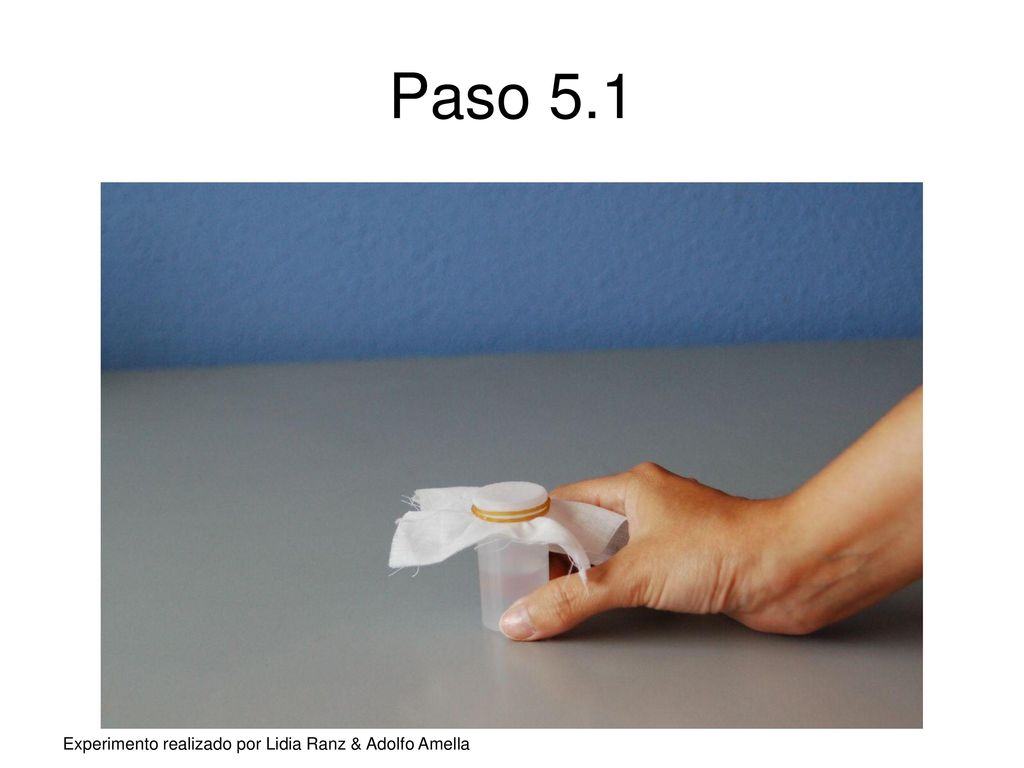 Paso 5.1 Experimento realizado por Lidia Ranz & Adolfo Amella