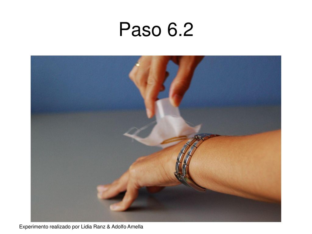 Paso 6.2 Experimento realizado por Lidia Ranz & Adolfo Amella