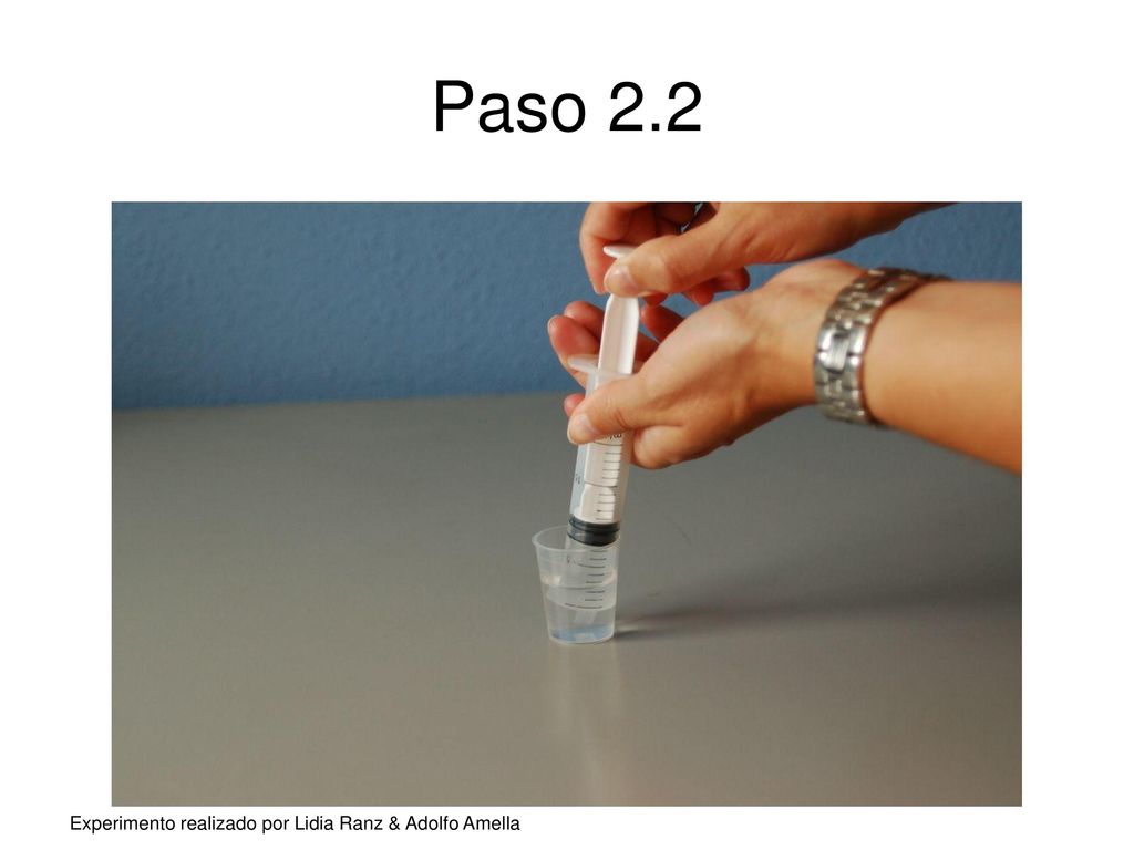 Paso 2.2 Experimento realizado por Lidia Ranz & Adolfo Amella