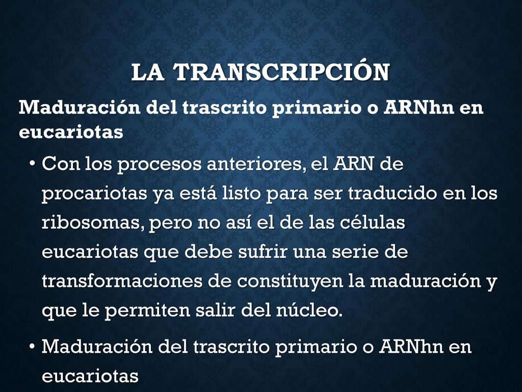 LA TRANSCRIPCIÓN Maduración del trascrito primario o ARNhn en eucariotas.