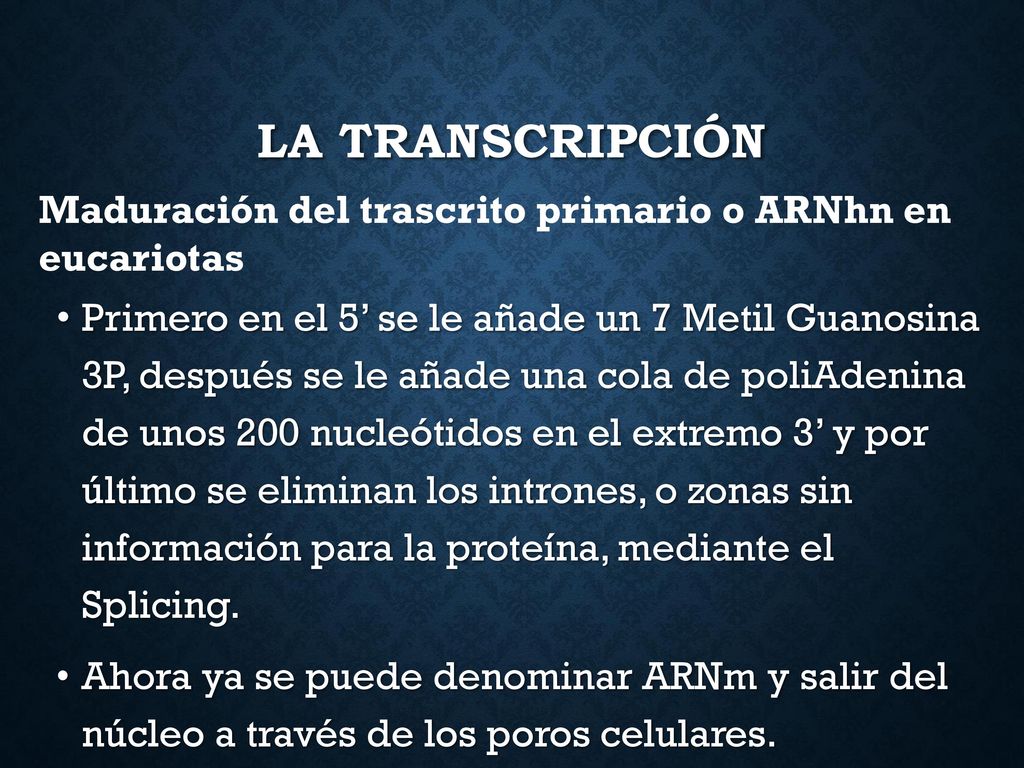 LA TRANSCRIPCIÓN Maduración del trascrito primario o ARNhn en eucariotas.