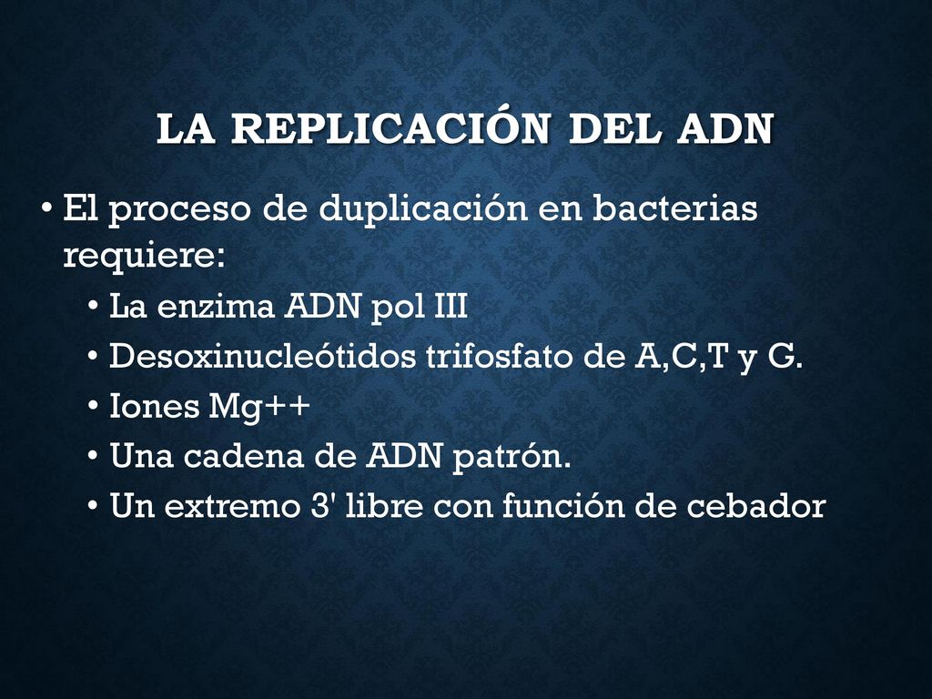 LA REPLICACIÓN DEL ADN El proceso de duplicación en bacterias requiere: La enzima ADN pol III. Desoxinucleótidos trifosfato de A,C,T y G.