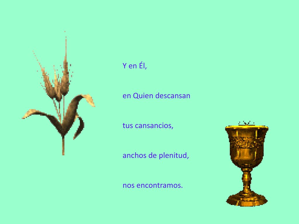 Y en Él, en Quien descansan tus cansancios, anchos de plenitud, nos encontramos.