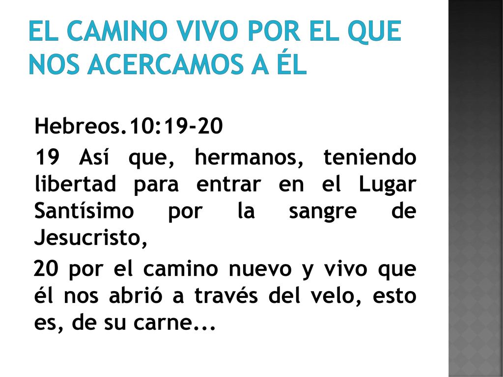 El camino vivo por el que nos acercamos a él