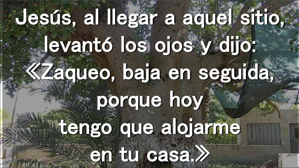 Jesús, al llegar a aquel sitio, levantó los ojos y dijo: «Zaqueo, baja en seguida, porque hoy tengo que alojarme en tu casa.»
