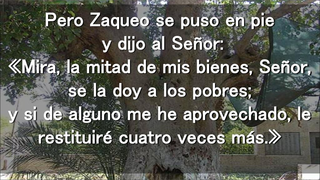 Pero Zaqueo se puso en pie y dijo al Señor: «Mira, la mitad de mis bienes, Señor, se la doy a los pobres; y si de alguno me he aprovechado, le restituiré cuatro veces más.»