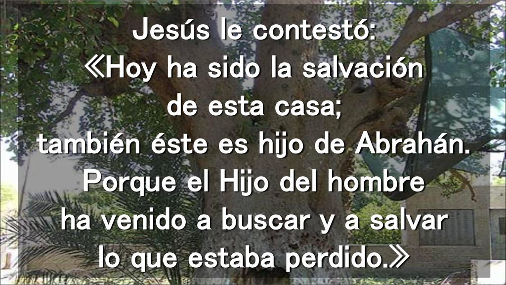 Jesús le contestó: «Hoy ha sido la salvación de esta casa; también éste es hijo de Abrahán.