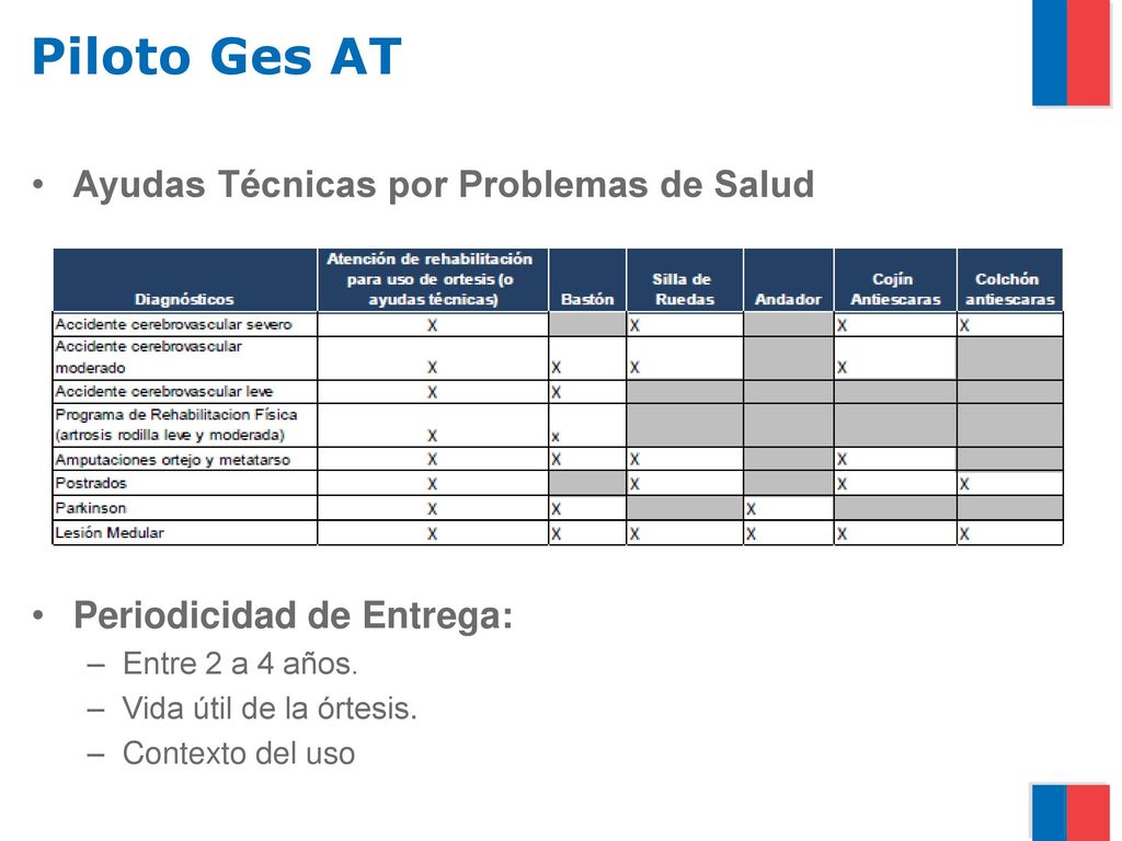 Piloto Ges AT Ayudas Técnicas por Problemas de Salud