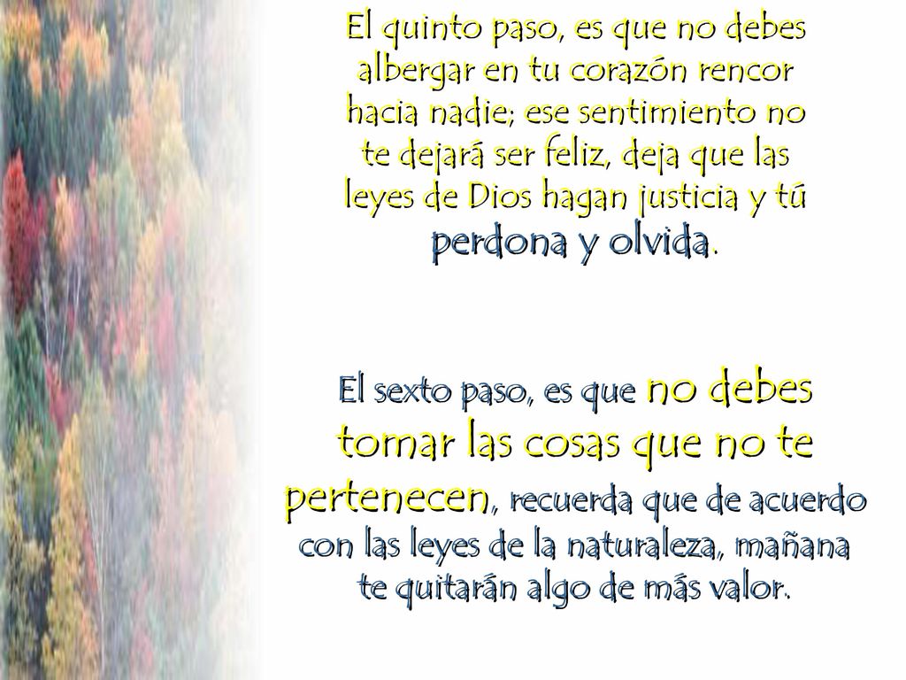 El quinto paso, es que no debes albergar en tu corazón rencor hacia nadie; ese sentimiento no te dejará ser feliz, deja que las leyes de Dios hagan justicia y tú perdona y olvida.
