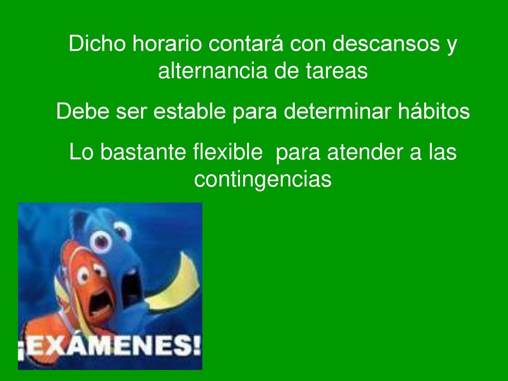 Dicho horario contará con descansos y alternancia de tareas