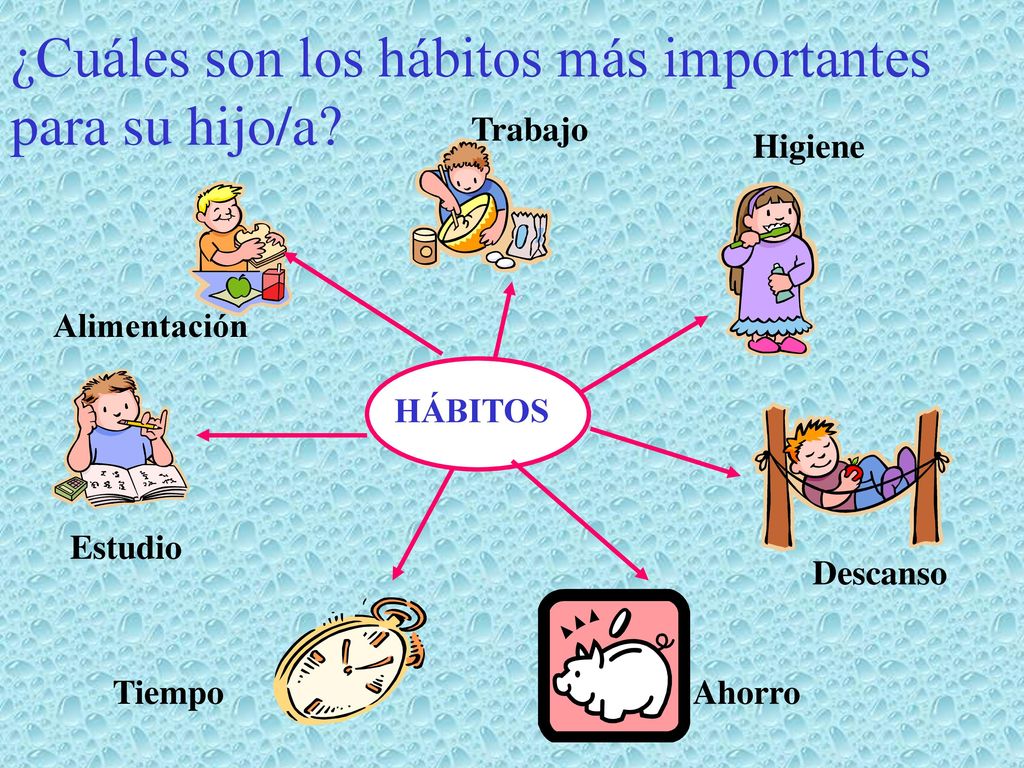 ¿Cuáles son los hábitos más importantes para su hijo/a