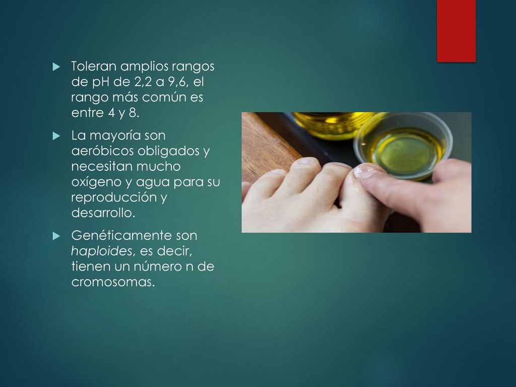 Toleran amplios rangos de pH de 2,2 a 9,6, el rango más común es entre 4 y 8.