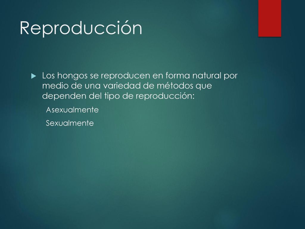Reproducción Los hongos se reproducen en forma natural por medio de una variedad de métodos que dependen del tipo de reproducción: