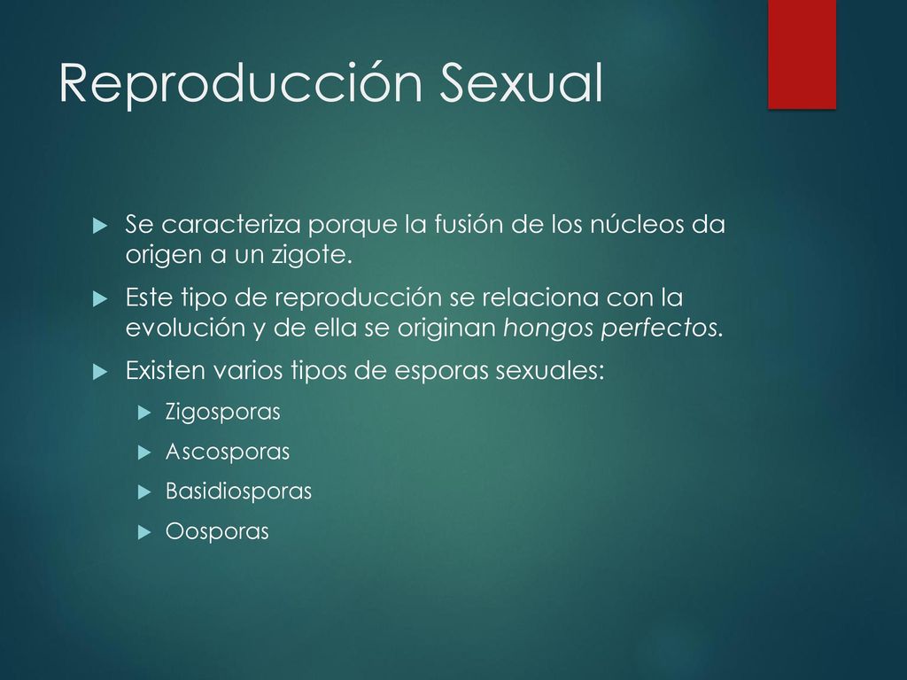 Reproducción Sexual Se caracteriza porque la fusión de los núcleos da origen a un zigote.