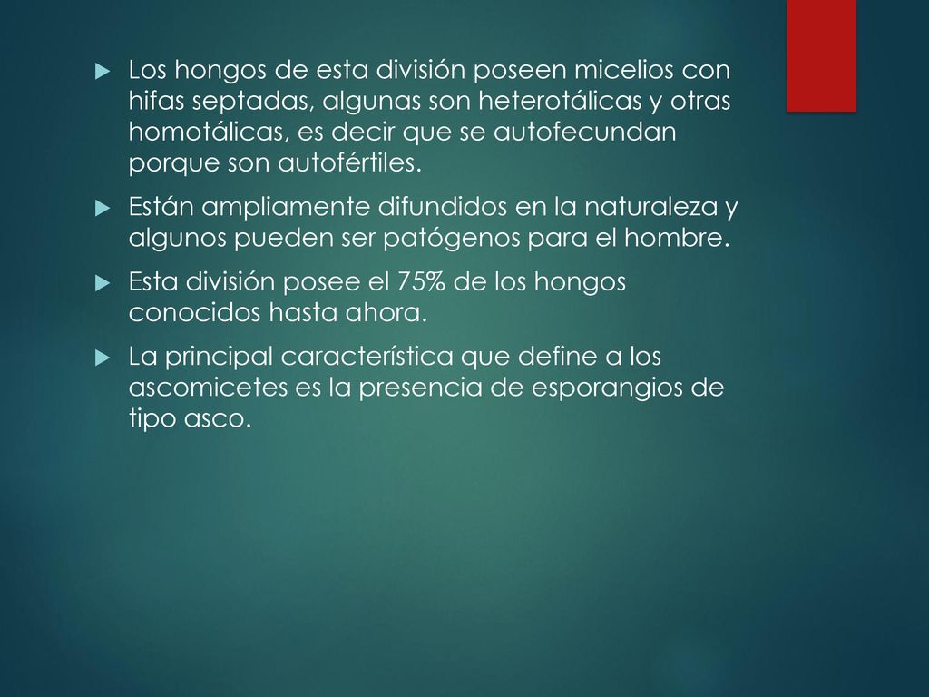 Los hongos de esta división poseen micelios con hifas septadas, algunas son heterotálicas y otras homotálicas, es decir que se autofecundan porque son autofértiles.