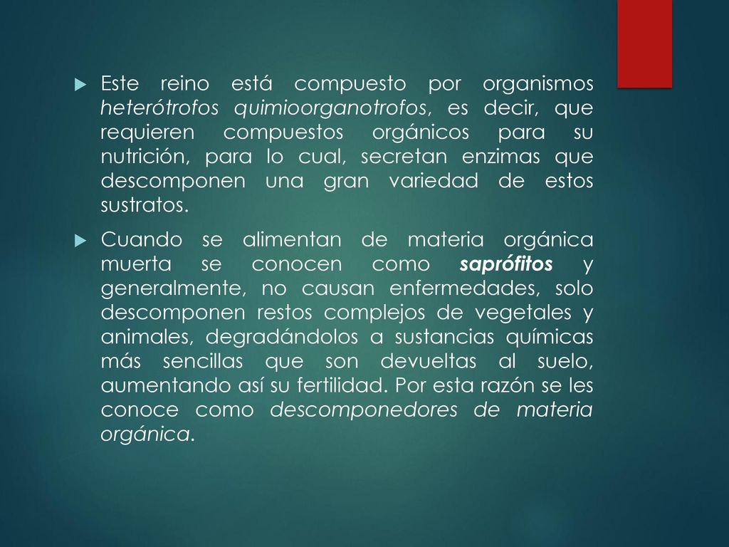 Este reino está compuesto por organismos heterótrofos quimioorganotrofos, es decir, que requieren compuestos orgánicos para su nutrición, para lo cual, secretan enzimas que descomponen una gran variedad de estos sustratos.