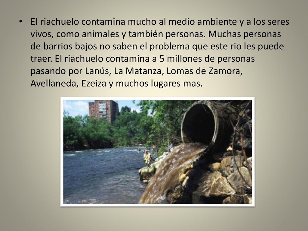 El riachuelo contamina mucho al medio ambiente y a los seres vivos, como animales y también personas.