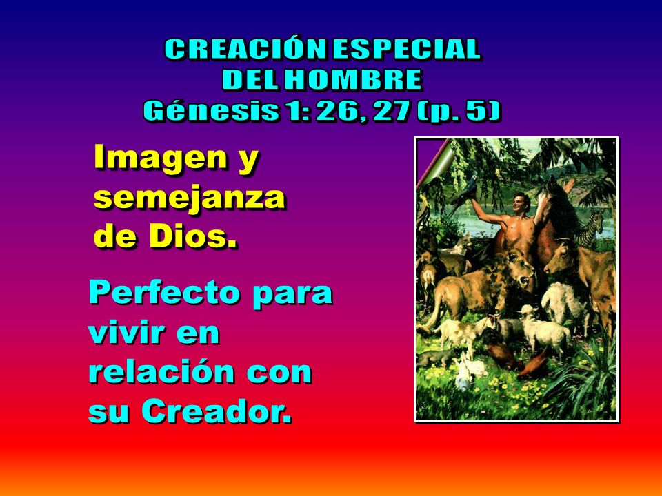 CREACIÓN ESPECIAL DEL HOMBRE. Génesis 1: 26, 27 (p.